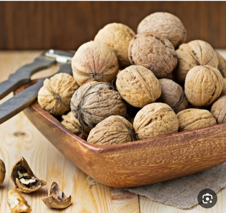 خرید عمده گردوی کاغذی آذرشهر + فروش عمده