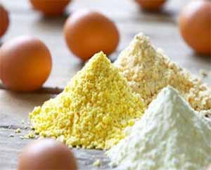 پودر تخم مرغ شکلاتی + قیمت ویژه