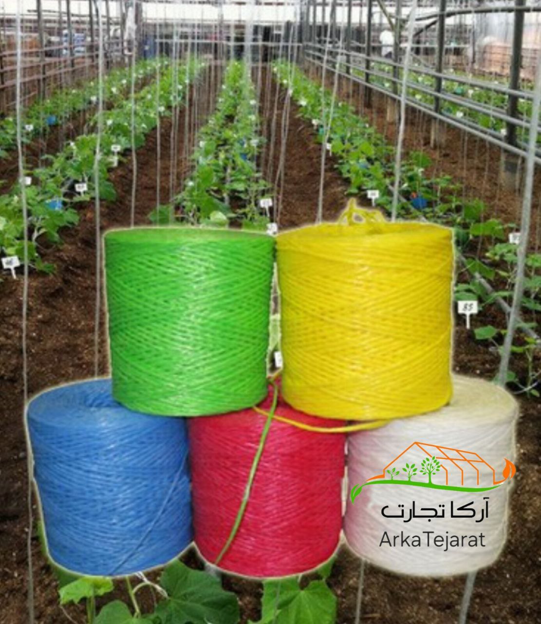 تصویر 1 از قیمت نخ گلخانه بادمجان با فروش عمده + خرید مستقیم و ارزان