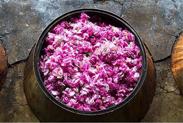 فروش بی واسطه گلاب صادراتی با شرکت فولاد گل