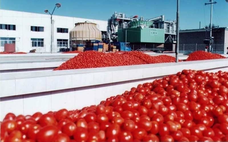 مرکز صادرات حلب رب گوجه فرنگی ده کیلویی + خرید