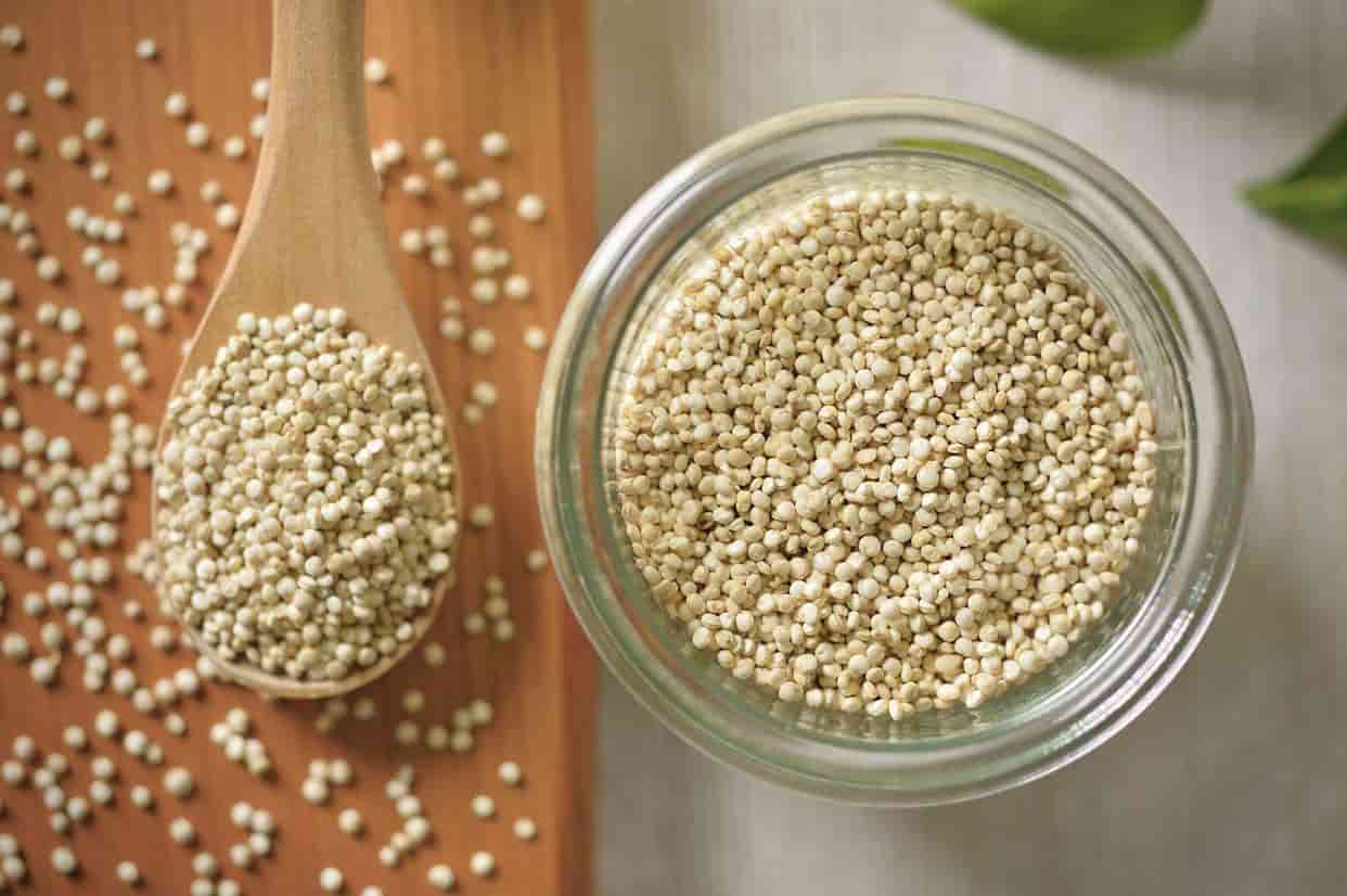 تصویر 3 از خرید و قیمت دانه چیا سفید + فروش صادراتی