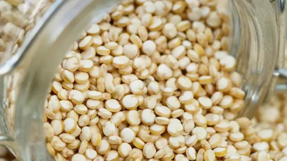 تصویر 4 از خرید کینوا سفید + قیمت فروش استثنایی