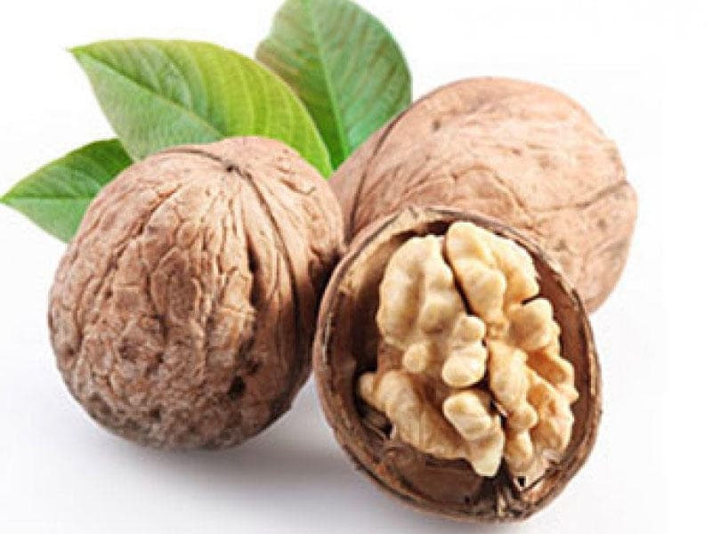 تصویر 3 از خرید و قیمت گردو با پوست + فروش عمده