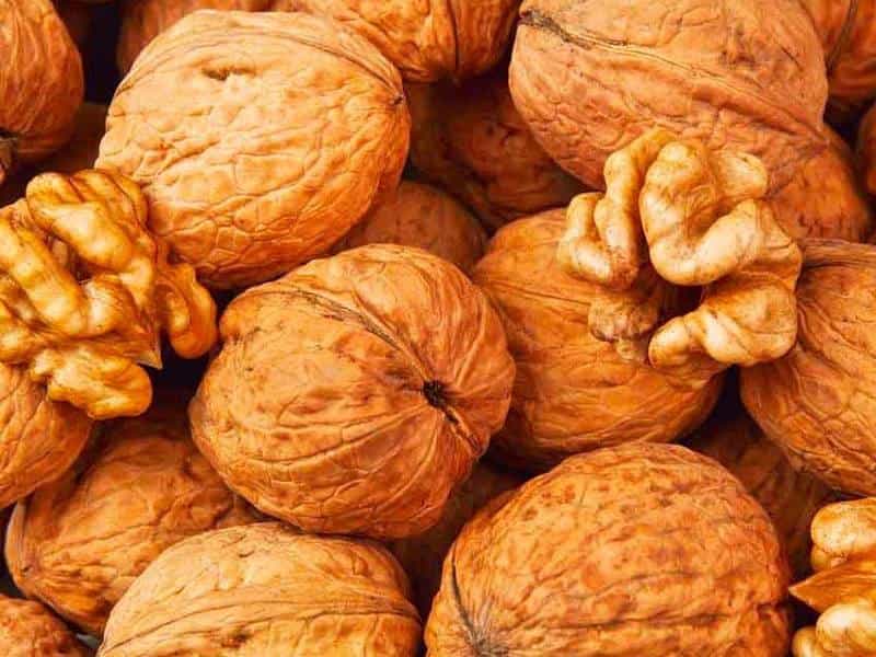 تصویر 5 از قیمت گردو خشک + خرید باور نکردنی