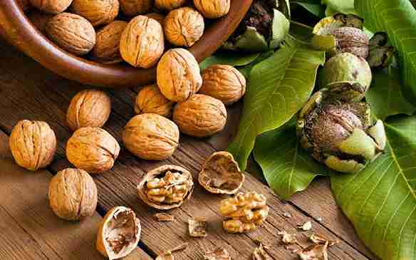 تصویر 4 از قیمت خرید گردو تازه + فروش ویژه