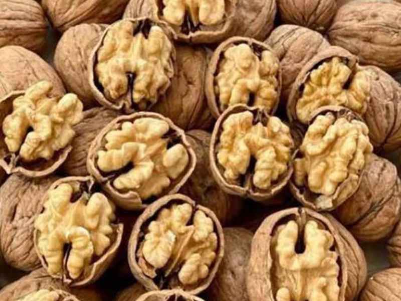 تصویر 1 از قیمت گردو کاغذی با کیفیت ارزان + خرید عمده