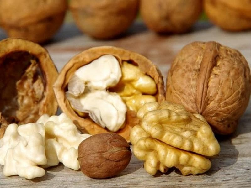 تصویر 2 از قیمت گردو کاغذی با کیفیت ارزان + خرید عمده