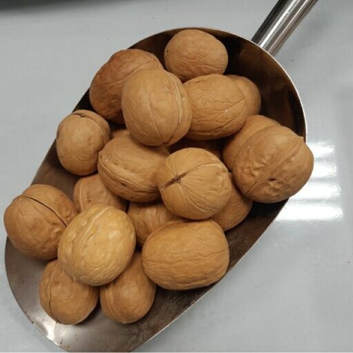 تصویر 5 از قیمت خرید گردوی ارگانیک عمده به صرفه و ارزان