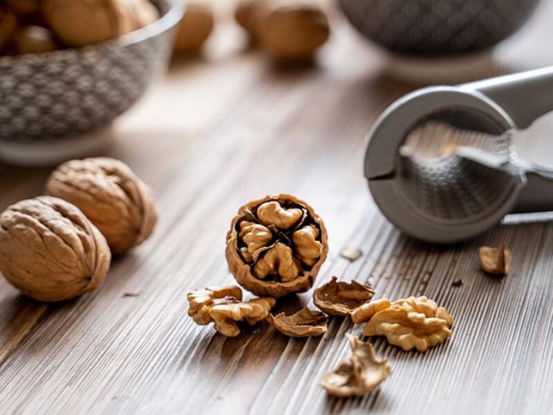 فروش گردو درختی