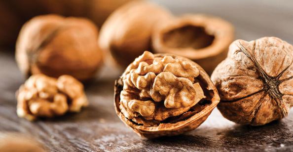 تصویر 5 از خرید و فروش گردو پوست کاغذی با شرایط فوق العاده