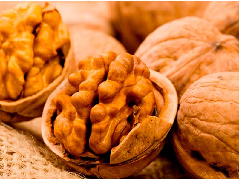 تصویر 3 از خرید و فروش گردو پوست کاغذی با شرایط فوق العاده