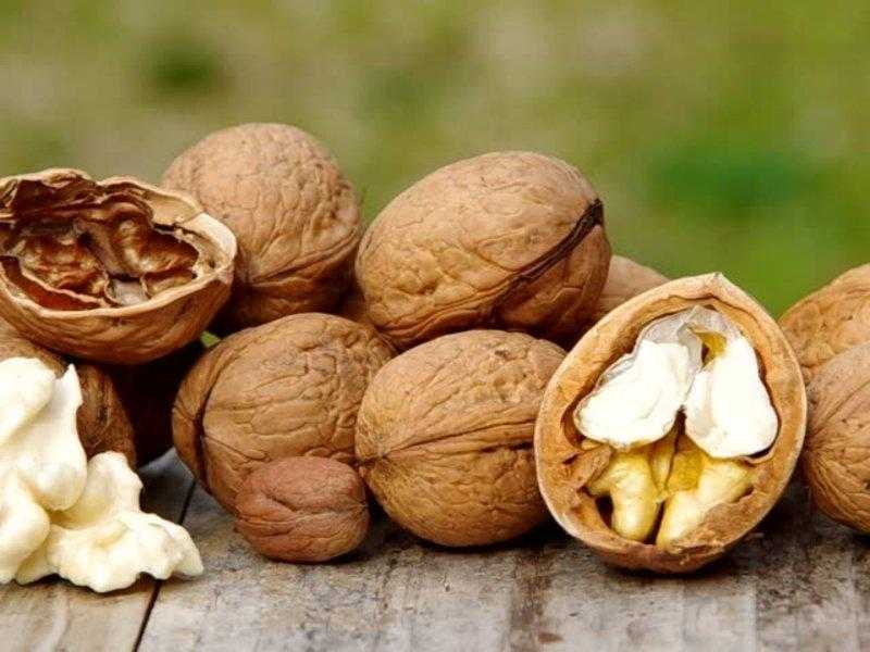 تصویر 3 از خرید و قیمت مغز گردوی صادراتی + فروش عمده
