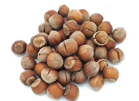 تصویر 1 از خرید و فروش فندق شور + فروش عمده