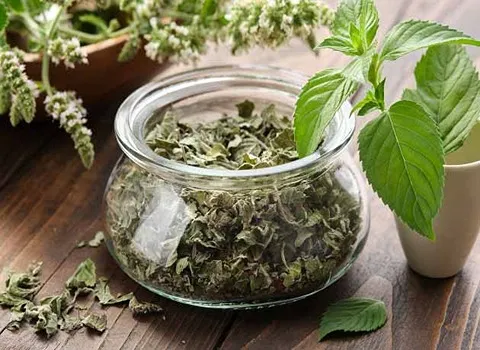تصویر 1 از خرید عرق بابونه‌ + قیمت رقابتی
