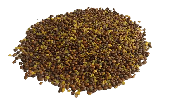 تصویر 1 از خرید و فروش مغز پسته با شرایط فوق العاده