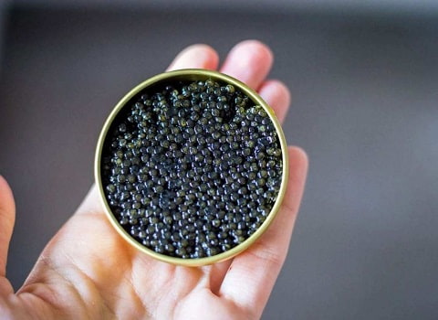 خرید و قیمت خاویار بلوگا درجه یک + فروش عمده
