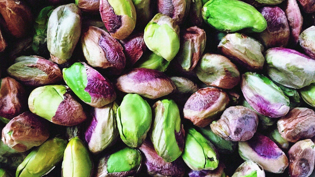 تصویر 5 از فروش عمده مغز پسته