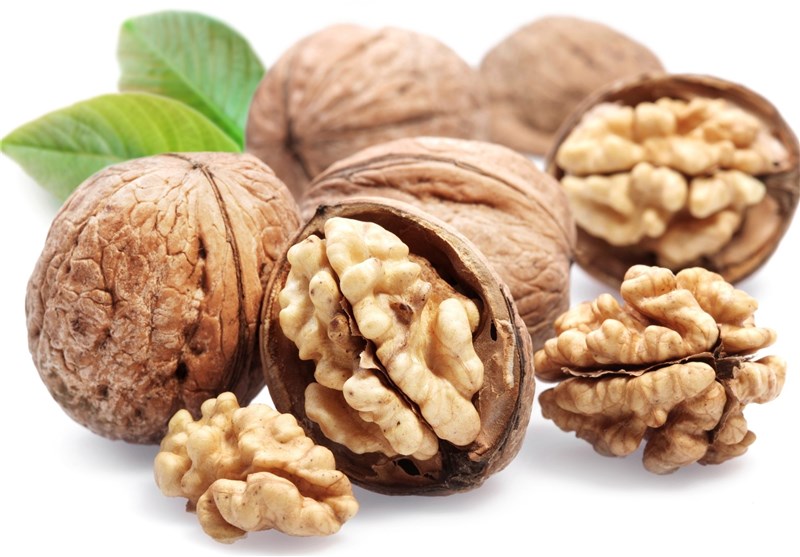 فروش گردو + قیمت خرید به صرفه