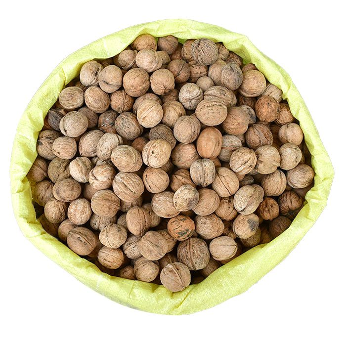 تصویر 1 از فروش گردو + قیمت خرید به صرفه