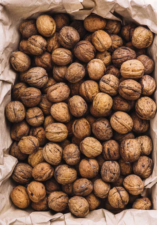 تصویر 2 از فروش گردو + قیمت خرید به صرفه