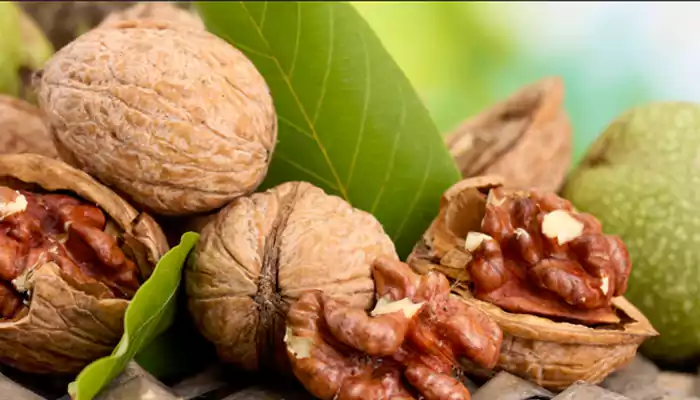 تصویر 3 از فروش گردو + قیمت خرید به صرفه