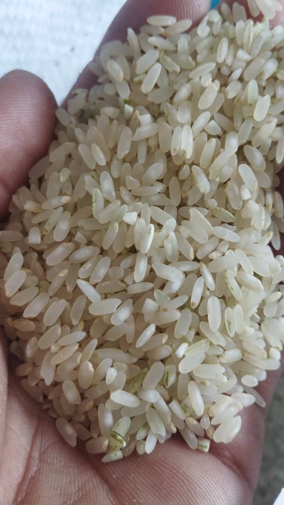 تصویر 4 از قیمت روز برنج درجه یک کامفیروز 28 مهر ماه