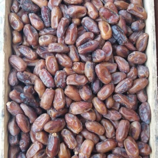 تصویر 3 از خرید و فروش خرمای استعمران صادراتی + فروش عمده