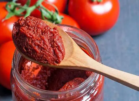 تصویر 1 از بهترین رب گوجه فرنگی + قیمت خرید عالی