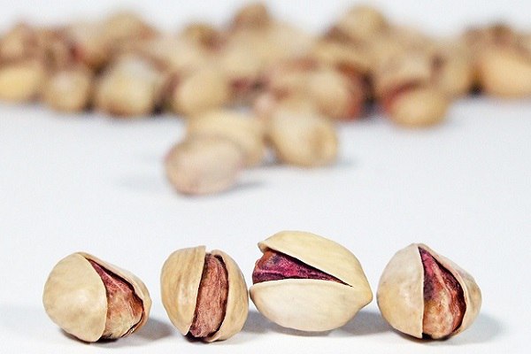 تصویر 5 از فروش پسته فندقی + قیمت خرید به صرفه
