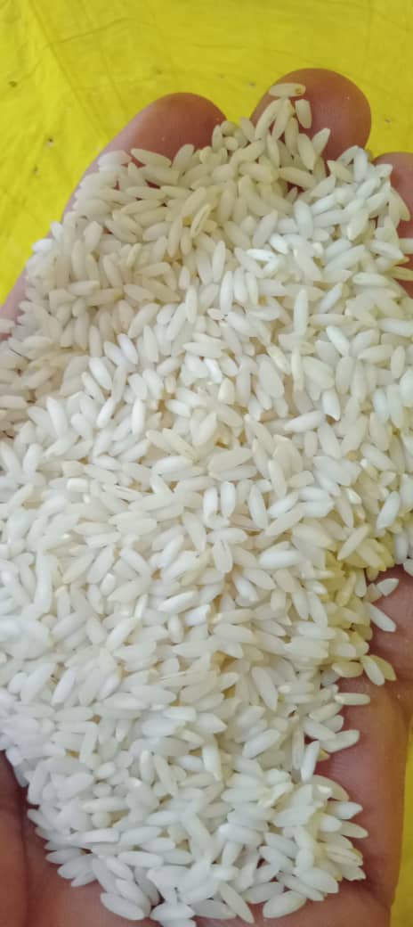 تصویر 5 از خرید اینترنتی برنج عنبربو چمپا کیفیت عالی