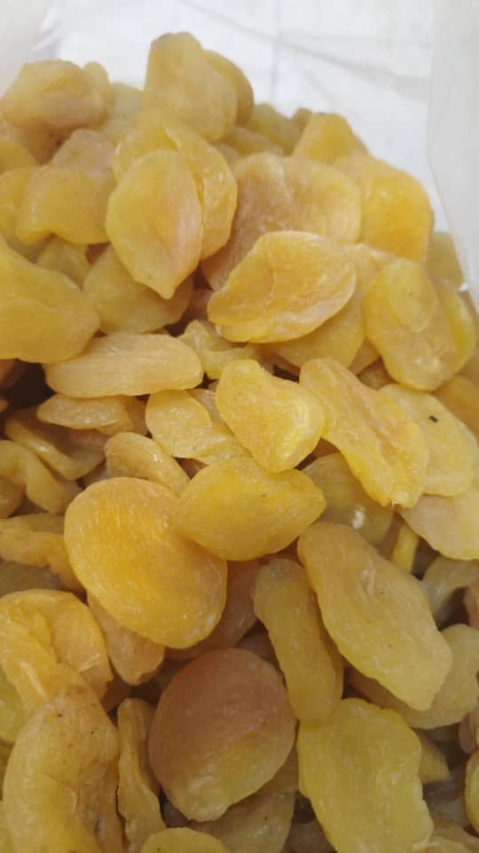 قیسی درجه یک