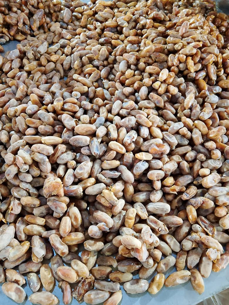 تصویر 1 از قیمت خرما شاهانی
