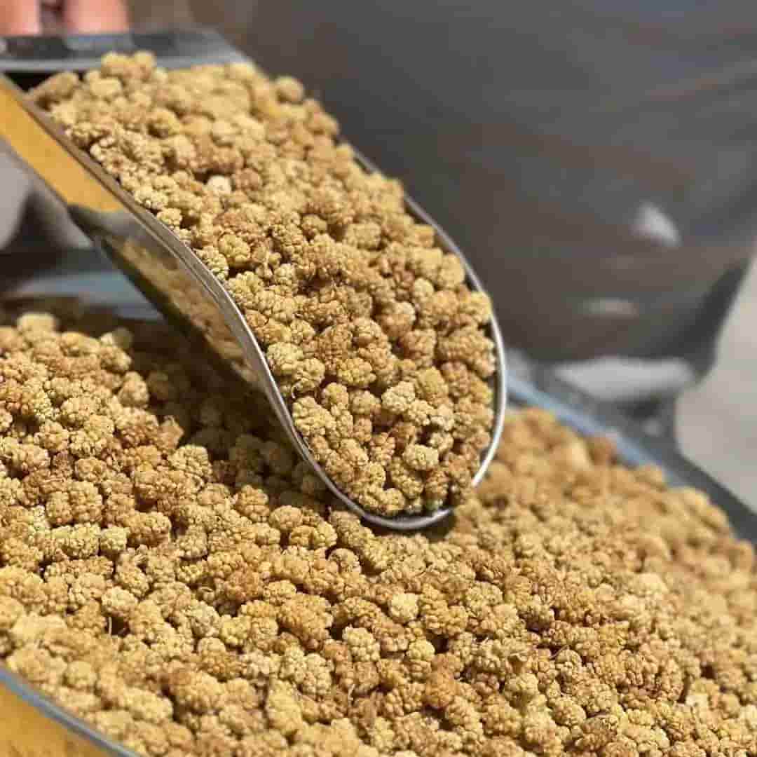 تصویر 2 از خرید و قیمت توت خشک + فروش عمده