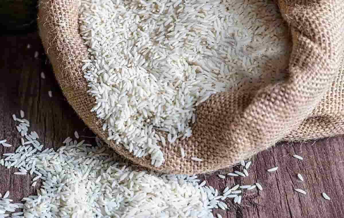 تصویر 3 از خرید و قیمت برنج عنبر بو صادراتی + فروش عمده