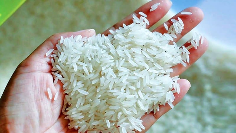 تصویر 1 از خرید برنج عنبر بو عمده + قیمت فروش استثنائی