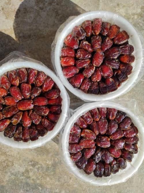 تصویر 1 از فروش خرما کبکاب صادراتی + قیمت خرید به صرفه
