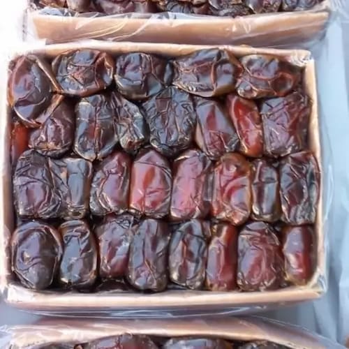 تصویر 2 از خرید عمده خرما کبکاب کارتنی + با کیفیت