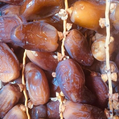 تصویر 4 از قیمت خرما کبکاب بهبهان با کیفیت و ارزان