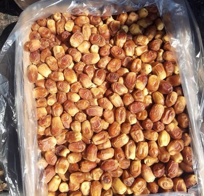 تصویر 4 از انواع خرما زاهدی استان فارس بارگیری میشه صادراتی به کشور ارمنستان