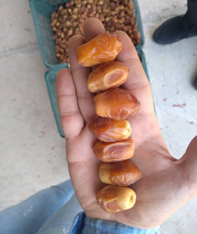 تصویر 1 از انواع خرما زاهدی استان فارس بارگیری میشه صادراتی به کشور ارمنستان