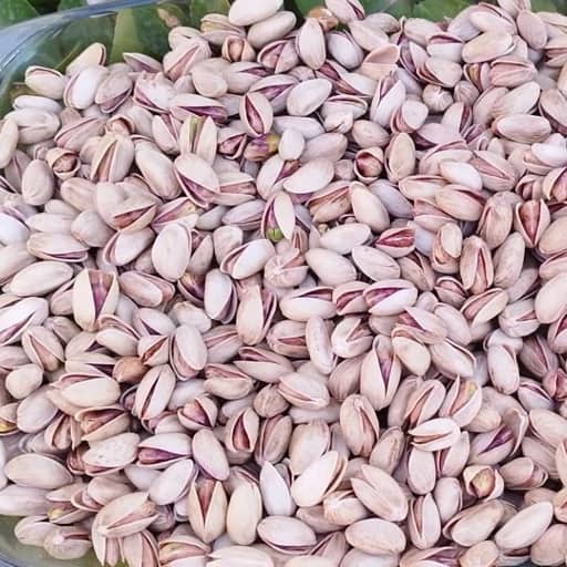 تصویر 2 از فروش پسته ارگانیک خنجری + قیمت خرید به صرفه