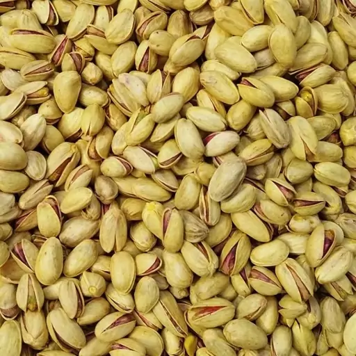 تصویر 4 از قیمت پسته خنجری طعم دار با کیفیت ارزان + خرید عمده