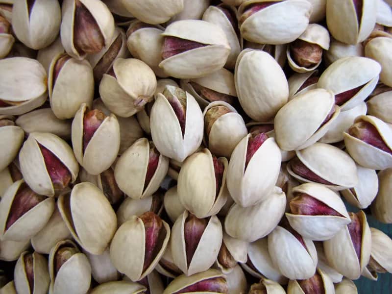 تصویر 2 از خرید و فروش پسته خنجری خام با شرایط فوق العاده