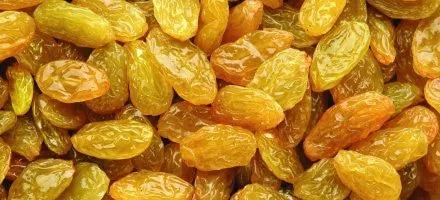 تصویر 3 از خرید کشمش طلایی ملایر + قیمت عالی باکیفیت
