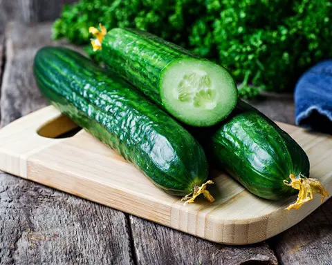 تصویر 4 از فروش خیار قلمی بوته ای + قیمت خرید به صرفه