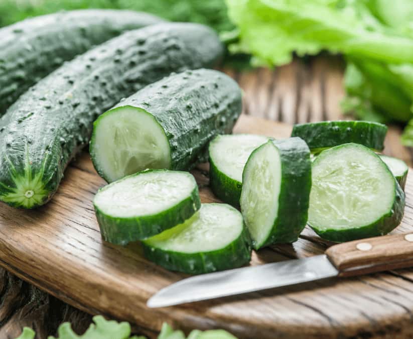 تصویر 4 از خرید خیار درختی هیبرید + قیمت عالی با شرایط ویژه