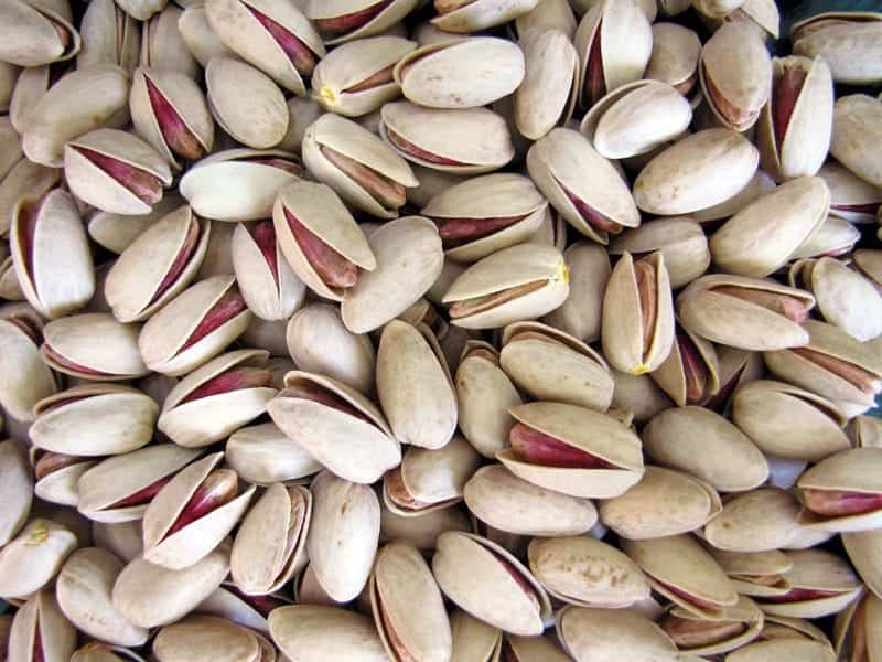 تصویر 3 از قیمت خرید پسته کله قوچی ممتاز + فروش ویژه