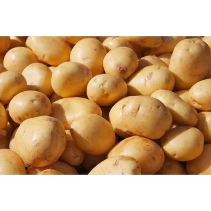 تصویر 3 از خرید و قیمت سیب زمینی تبریزی + فروش عمده