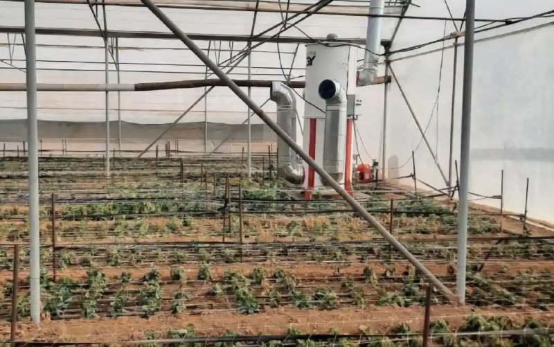 تصویر 5 از فروش ویژه بخاری اختصاصی گلخانه 250 هزار راندمان 94 درصد